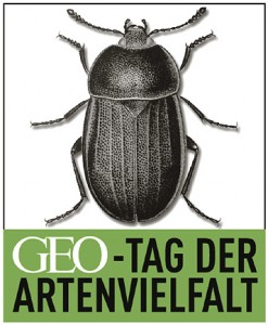 Logo_GEO-Tag_Internet