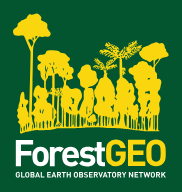 PhD in Peatland morphology, hydrology and land change