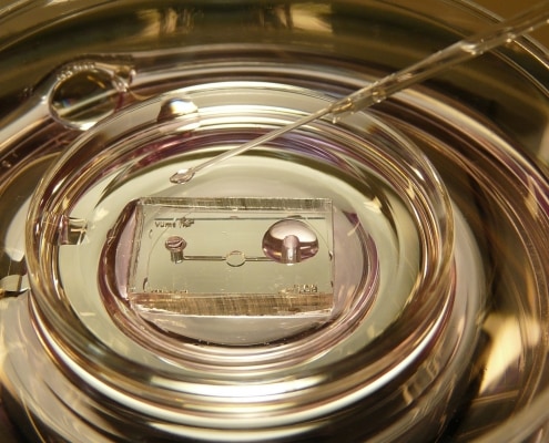 Eine mikrofluidische Kammer für in-vitro Kultur, die in Zusammenarbeit mit der technischen Universität Enschede entwickelt wurde. Diese neuartige Kulturmethode, die das Milieu der Eileiter simuliert, wurde von Kieslinger im IVF Labor VUmc erstmalig an menschlichen Embryonen getestet. © D.C. Kieslinger