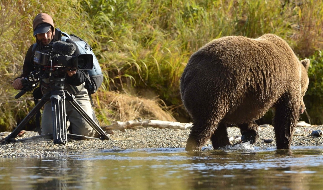 "Der Bär in mir"_Mit Natur und Wildnis auf Tuchfühlung