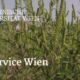 Titelbild Pollenservice