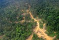 :: Forschung im Regenwald heute: Engagement für Mensch, Tier und Natur