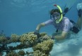 :: 10 Fragen an berufstätige BiologInnen: </br> Verena Wiesbauer Ali – Eco Islanders Maldives