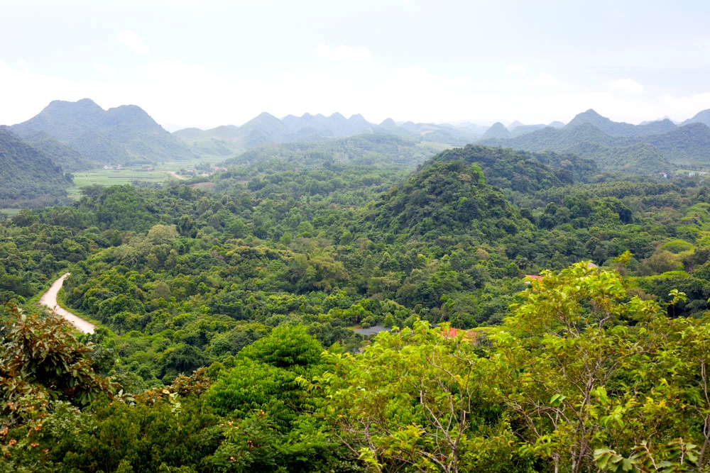 Blick über den Nationalpark Cuc Phuong im Herzen Vietnams: ein Stück wiedergewonnene Heimat für bedrohte Primaten (© Manuela Lembeck)