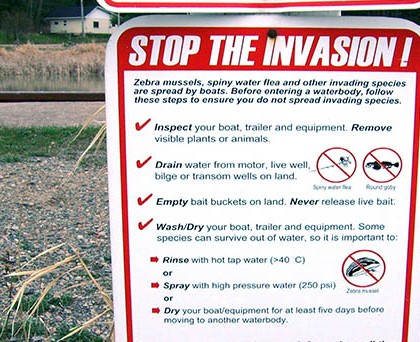 Stop the invasion - (c) Fungus Guy [CC BY-SA 3.0 via Wikimedia Commons https://upload.wikimedia.org/wikipedia/commons/5/5a/Stop_the_invasion.JPG