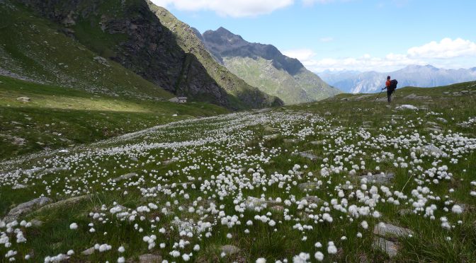 Natur Hoangascht, am 1.10. im botanischen Garten